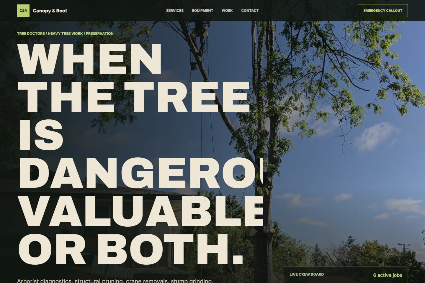 Canopy & Root Arborist